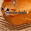thosewhodough