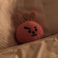 cookie
