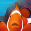 clownfish