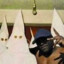KKK