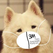 Bot-Doge