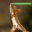 fidothesquirrel