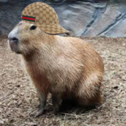 CAPY BARA - steam id 76561198883349516
