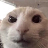 0O1 - steam id 76561199472990550