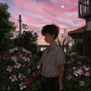 AAA钢协器材田叔