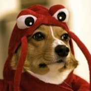 Kleinat Steam avatar