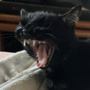 Pupatato