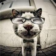 It's OK to fight a chicken