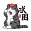 y捡漏的小白