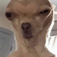 KOZ