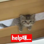 枪马骂枪v别骂我