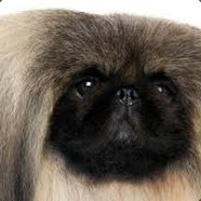 FLORIDA MAN - steam id 76561197960470465