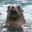 |BNRE| Seal:)
