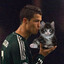 ronaldo skins