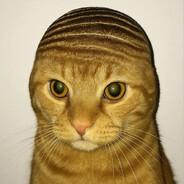 Домашний Пуделёк