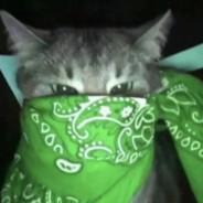 胸毛及腰的妹子