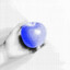 Apol the apple