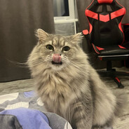 mouserati - steam id 76561198188742293