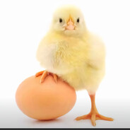 H囊A囊囊囔囔E囔