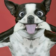 骑老奶奶过乔丹