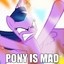 AngryPony420