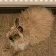 Tikerinho - steam id 76561198030025205