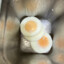 Subway Egg