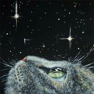 .ssl/ - steam id 76561197971450633