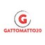 Gattomatto20