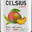 celsius energy drink