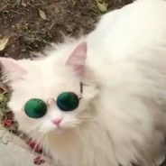 KidFromACorner