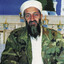 Osama bin Laden  skins.army