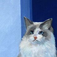 秋天奶瓶绵绵奶