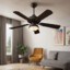 Ceiling Fan