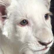 怎么回事，牢底