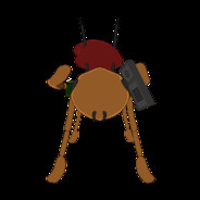 Буревестник Доты