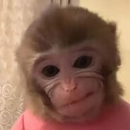 Бибизьян#bloodrust