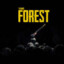 фан the forest