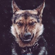 N ø r i - steam id 76561197961805040
