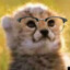 cat_hutt123