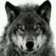 lobo