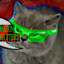 Koqt