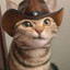 katze