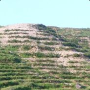 不听不听 飞鞋点金