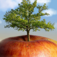 baumapfel15