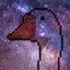 GalacticGoose