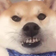 今夜月稀掩朦胧