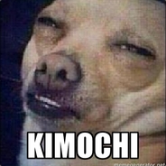 Monkey Freedom Feeder