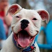 你有医保你先上