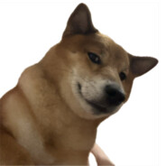 半生半熟土豆条子